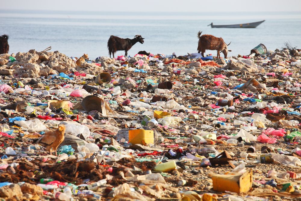 Śmieci w oceanach. Toniemy w plastiku