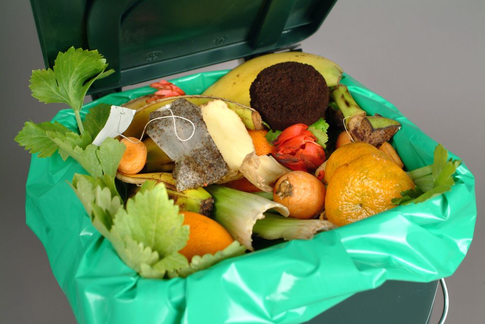 Zbyt dużo jedzenia ląduje w naszych śmietnikach