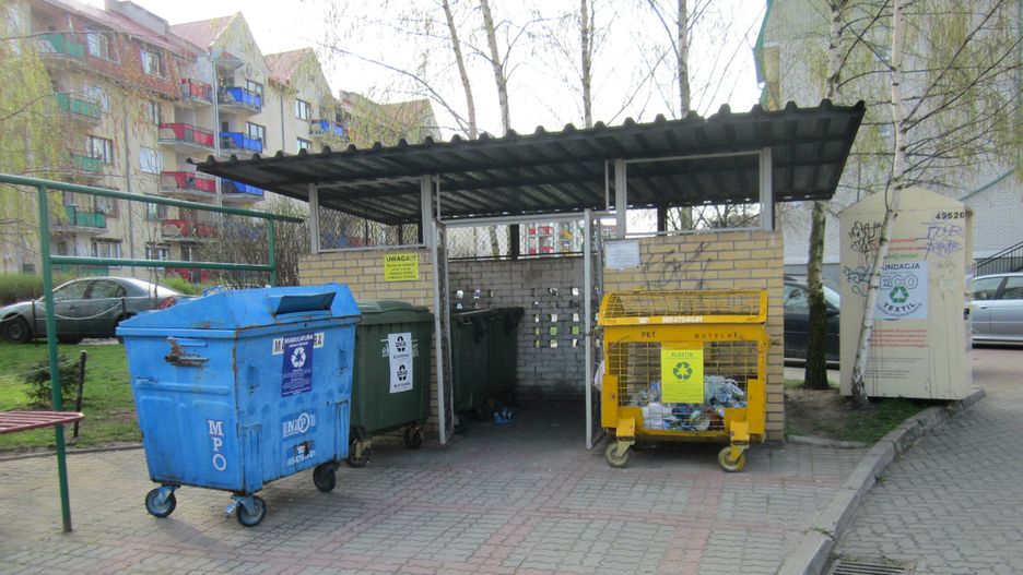 Szczenięta zostały wyrzucone na śmietnik 