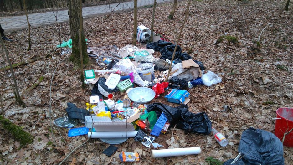 Wyrzuciła do lasu śmieci wraz z polisą ubezpieczeniową