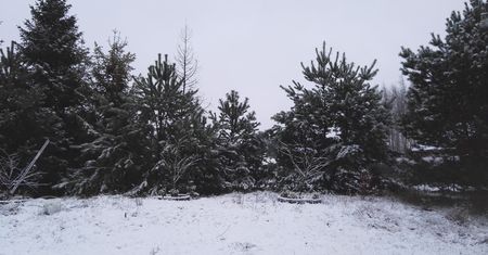 Śnieg na Pomorzu. "U was też tak jest?"