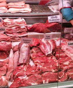 Małopolska: do zakładu przetwórstwa trafiły dwie tony padliny z ubojni na Mazowszu