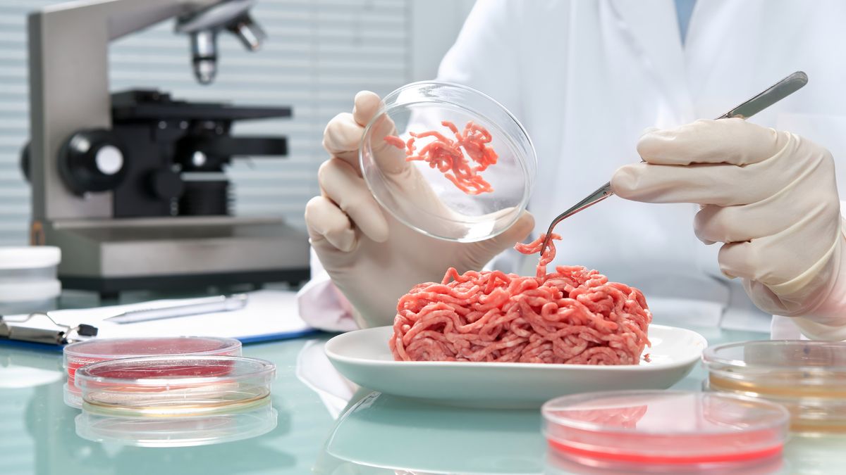Food quality control expert inspecting at meat specimen in the laboratory