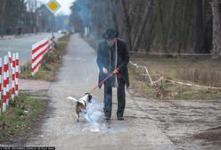 Janusz Korwin-Mikke "tresował" psa petardami. Wszczęto dochodzenie