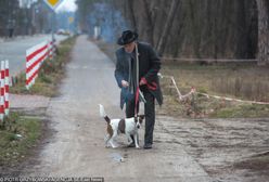 Prokuratura odpuściła Korwinowi. Rzucał petardą przy psie