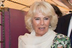 Księżna Camilla zrezygnowała z wyjścia z Meghan i Harrym. Z powodów zdrowotnych