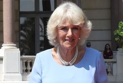 Księżna Camilla pracuje podczas kwarantanny. Odsłoniła wnętrza swojego gabinetu