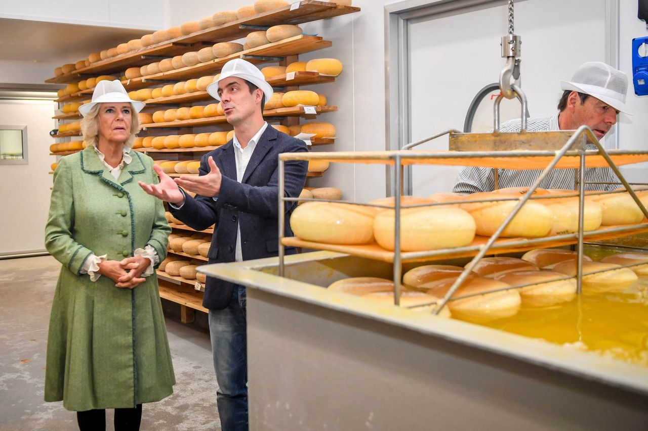 Księżna Camilla w fabryce sera