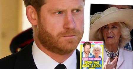 Harry szykuje prawdziwą bombę, a najbardziej oberwie się Camilli. To Meghan odpowiada za to, co wkrótce nastąpi