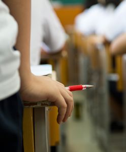 Egzamin ósmoklasisty 2019 - arkusz z języka polskiego od CKE. “Mały Książę” zmorą zdających?