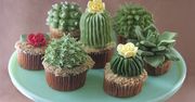 Niezwykłe babeczki, które z wyglądu niemal idealnie odzwierciedlają kaktusy. Wow!