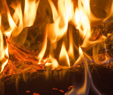 Poznań. Wypadek przy biokominku. Lekarze walczą o życie dwutygodniowego chłopca