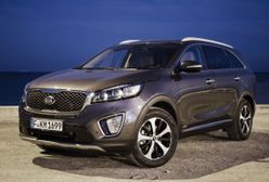 Kia Sorento: SUV w mieście i terenie