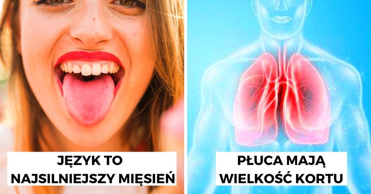 16 zaskakujących ciekawostek o ludzkim ciele, które wywołują zdziwienie nawet badaczy i lekarzy