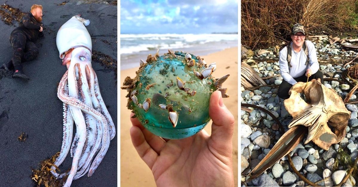 21 Interesting Things People Have Found on Beaches Around the World. These Are the Real Treasures