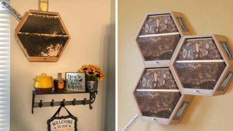 Beecosystem Is a Modular Hive. Thanks to the System You Can Keep Bees in Your... Living Room!
