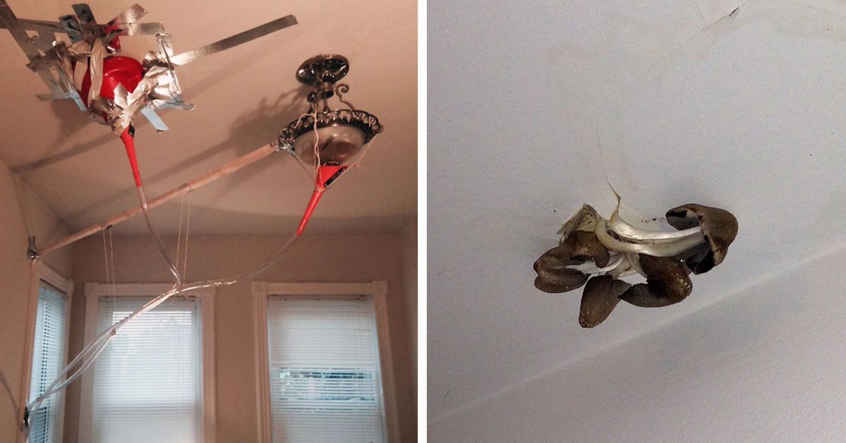 21 Apartments With Landlords Who Ignored Tenants Reporting Terrible Faults