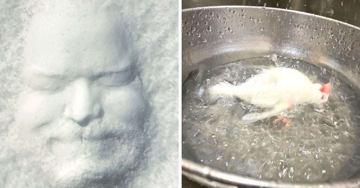 19 Photos That Confuse Even the Brightest People