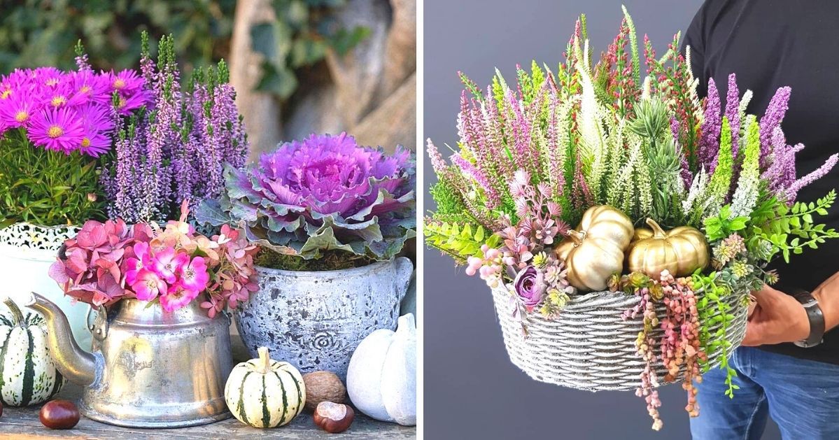 12 Fall Flowers That Don't Fear the First Frost