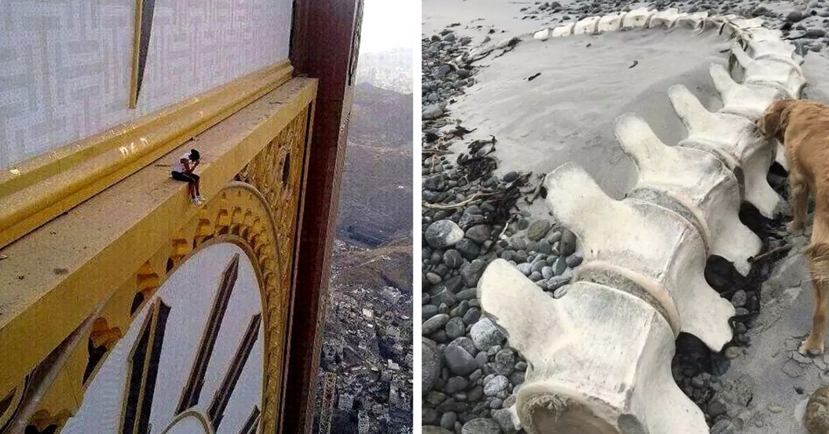 19 Photos That Show Huge Objects from All around the World
