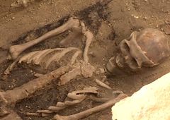 Poznań - odkryto szkielet z czaszką przeciętą na pół