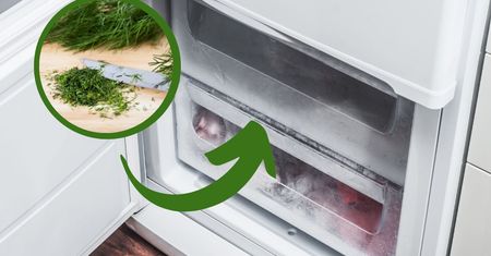 Mrozisz koperek? Koniecznie zwróć uwagę na ten szczegół