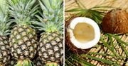 Ananasa i kokosa w takiej odsłonie jeszcze nie widziałaś! Praktyczne i zachwycające rozwiązanie