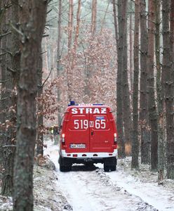 Strażacy odznaczeni przez MON. Pomagali ofiarom wypadku samolotowego