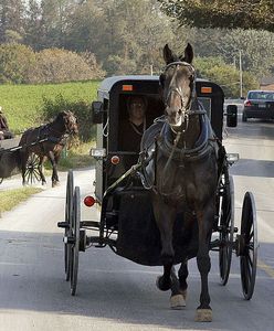 Amisze nie będą sprzątać końskich odchodów. Mogą za to trafić do więzienia