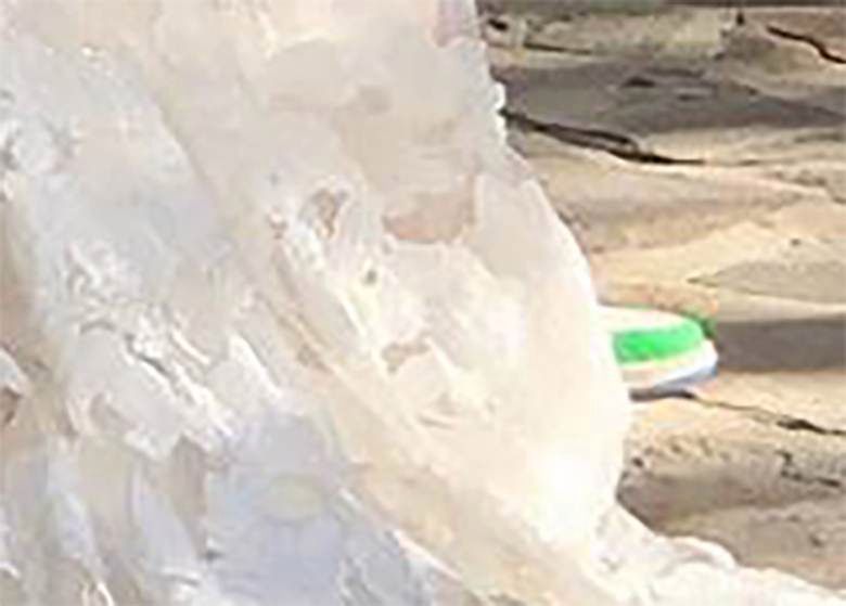 Flea wziął ślub w tramkach