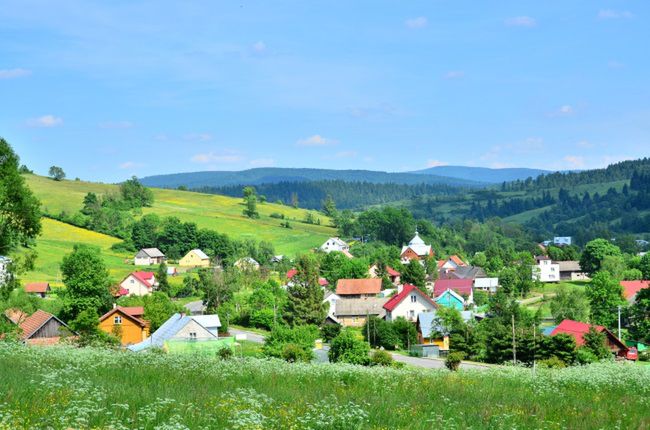 Obraz