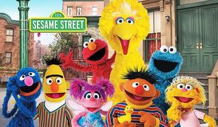 Pamietasz postacie z "Ulicy Sezamkowej"?