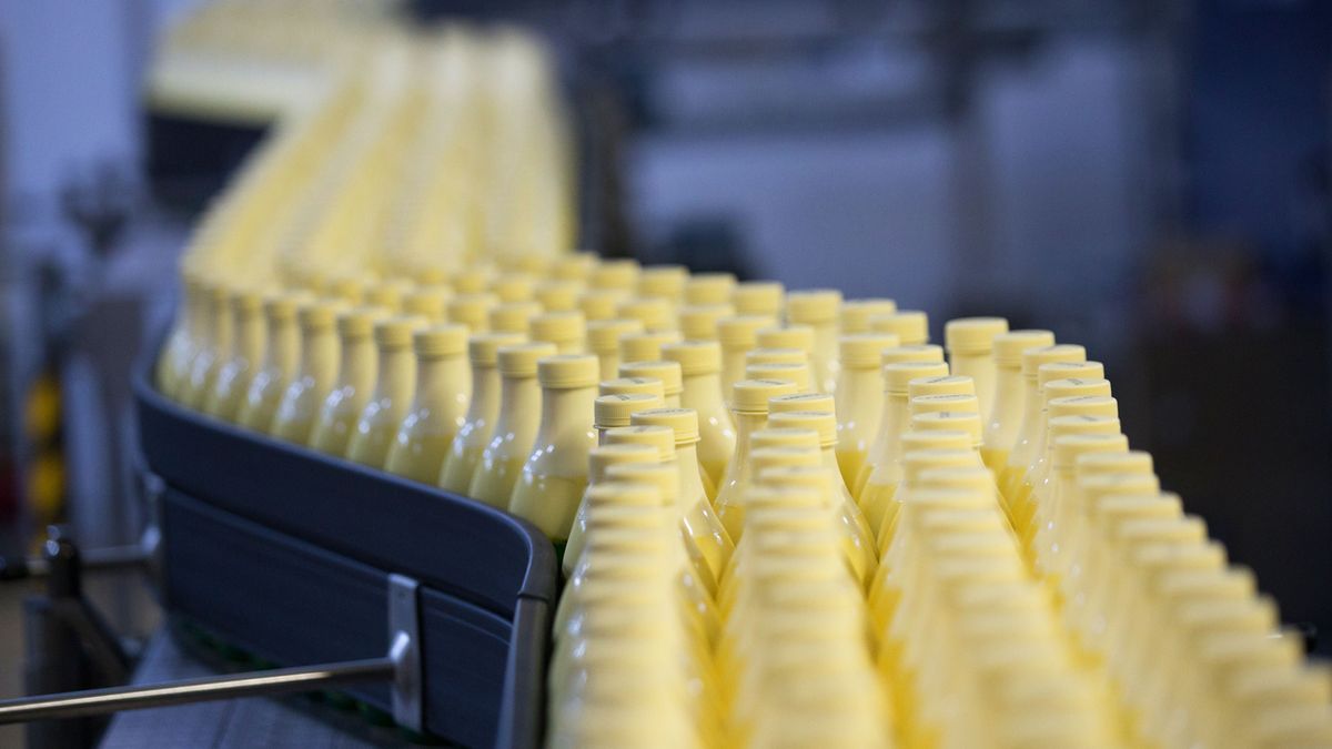 11 osób zostało zatrzymanych przez policję. 