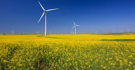 Przydomowe elektrownie wiatrowe