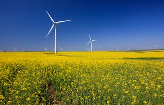 Przydomowe elektrownie wiatrowe