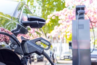 Konsulting napędzi e-floty