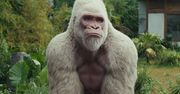 Rampage: Dzika furia
