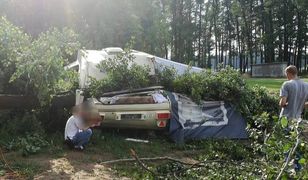 Nie żyje 12-latek, którego na kempingu przygniotło drzewo. Wszczęto śledztwo