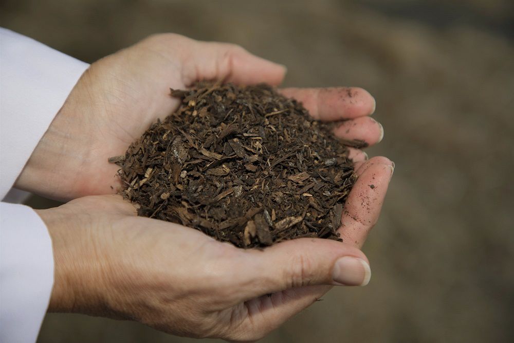 Ludzki kompost. Waszyngton chce zalegalizować alternatywną formę pochówku
