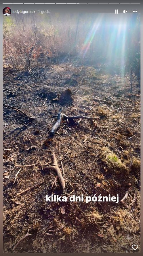 Edyta Górniak pokazała spalony las