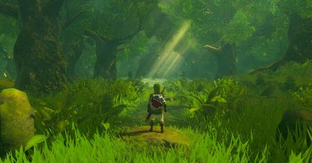 Pograłbym w TAK wyglądające Breath Of The Wild. Na emulatorze na PC