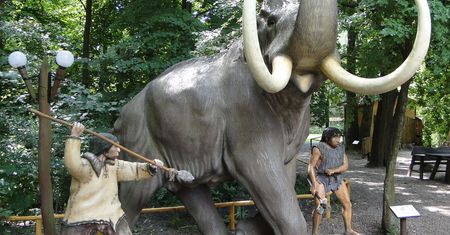 Kraków. Ludzie polowali na mamuty. Archeolodzy znaleźli dowód