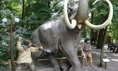 Kraków. Ludzie polowali na mamuty. Archeolodzy znaleźli dowód