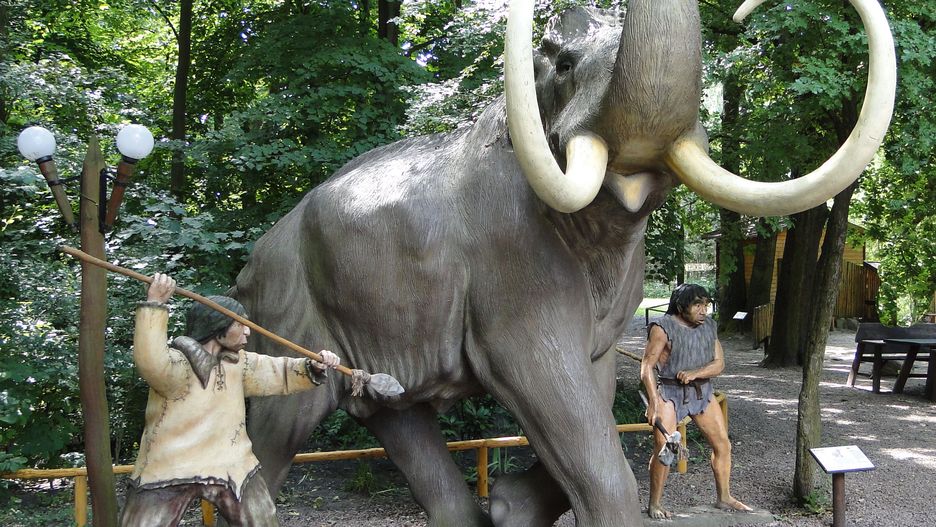 Park Dinozaurów w Nowinach Wielkich. Naukowcy znaleźli dowód, że właśnie tak polowano na mamuty