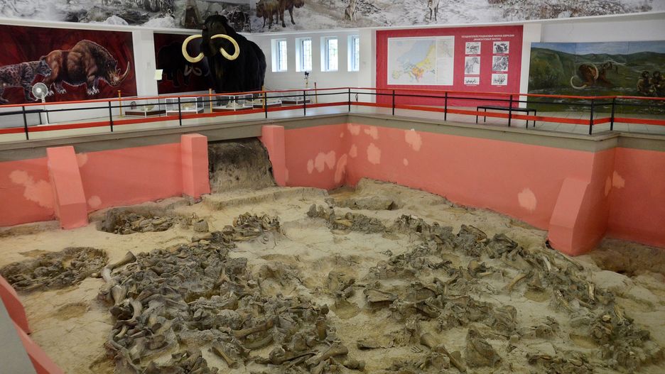 Kostenki 11 - krąg z kości ponad 60 mamutów.