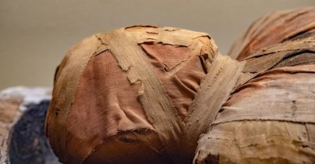 Wyniki badań były zaskakujące. Starożytne mumie odkryły tajemnice