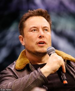 Niedawno rakiety, tunele, miotacze ognia. Teraz jednak Elon Musk ma nowy pomysł na biznes