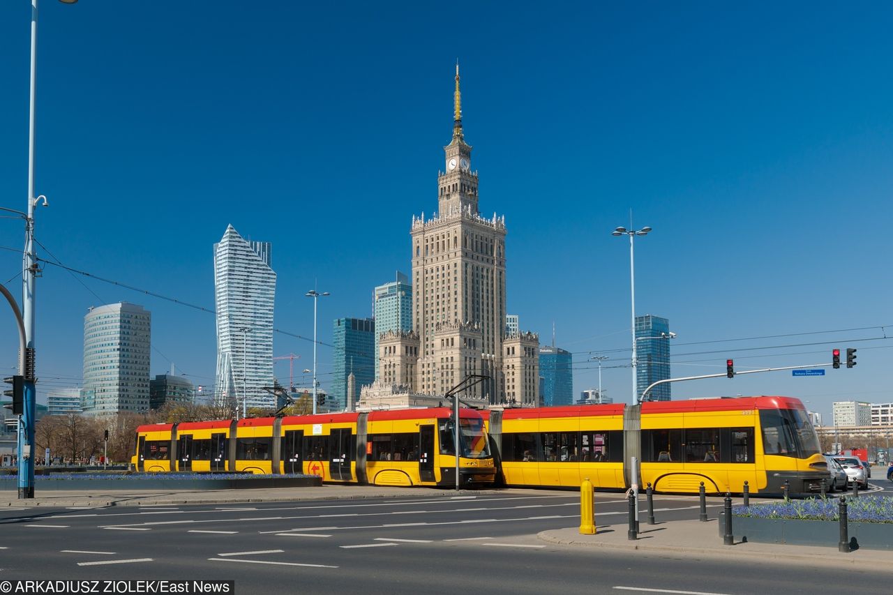 Plaga komarów. "Pasażerowie tramwaju próbowali uciekać w panice"