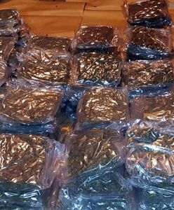 Sukces stołecznej policji. Udaremniono przemyt marihuany wartej prawie 3 mln zł