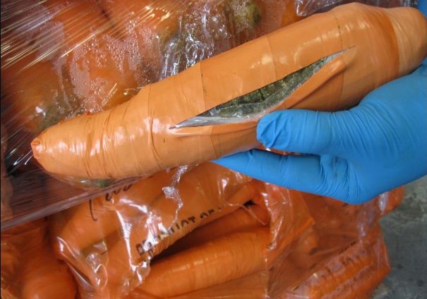 Tona marihuany odnaleziona w... sztucznych marchewkach